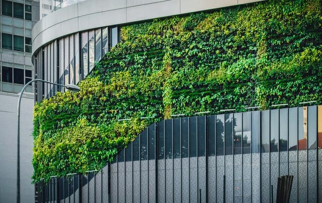 Pourquoi les bâtiments verts sont-ils importants ?